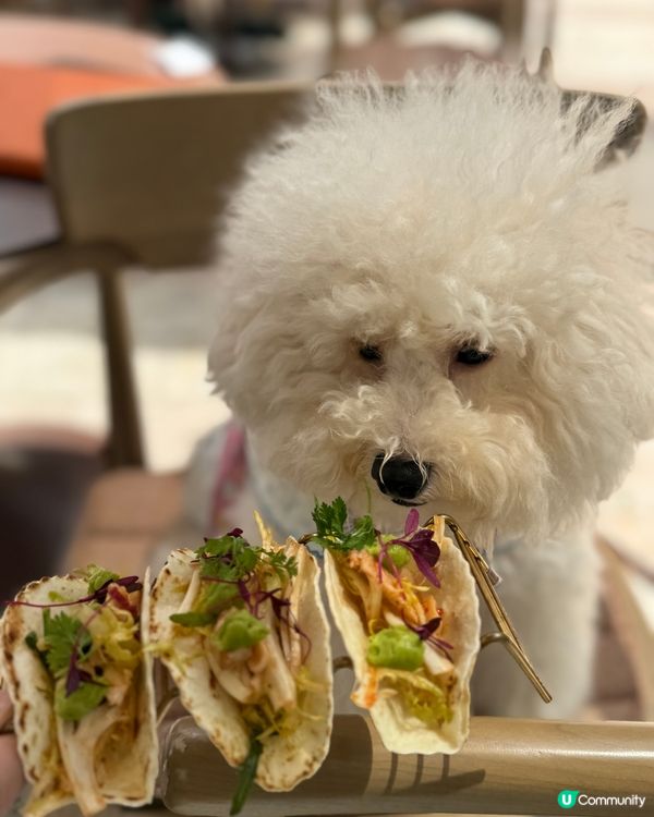 媽媽帶禾去食最近新開既🪻🌸🌼🌻花廚Cafe