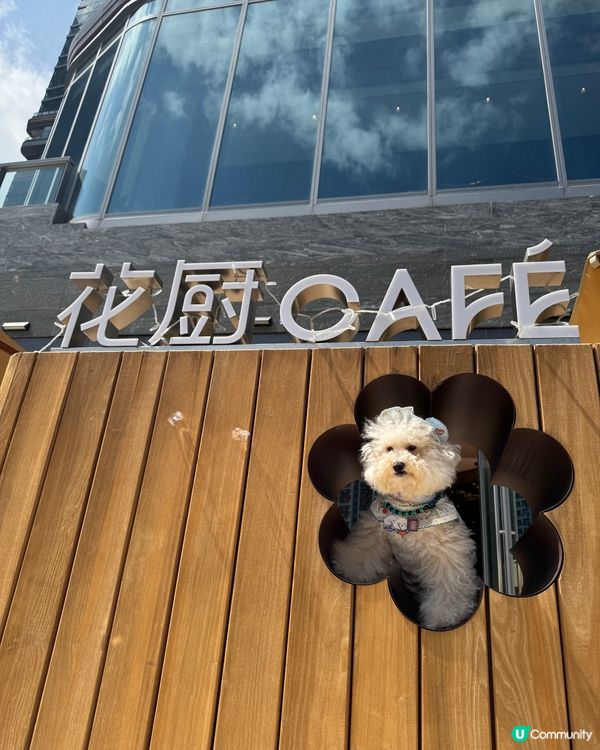 媽媽帶禾去食最近新開既🪻🌸🌼🌻花廚Cafe