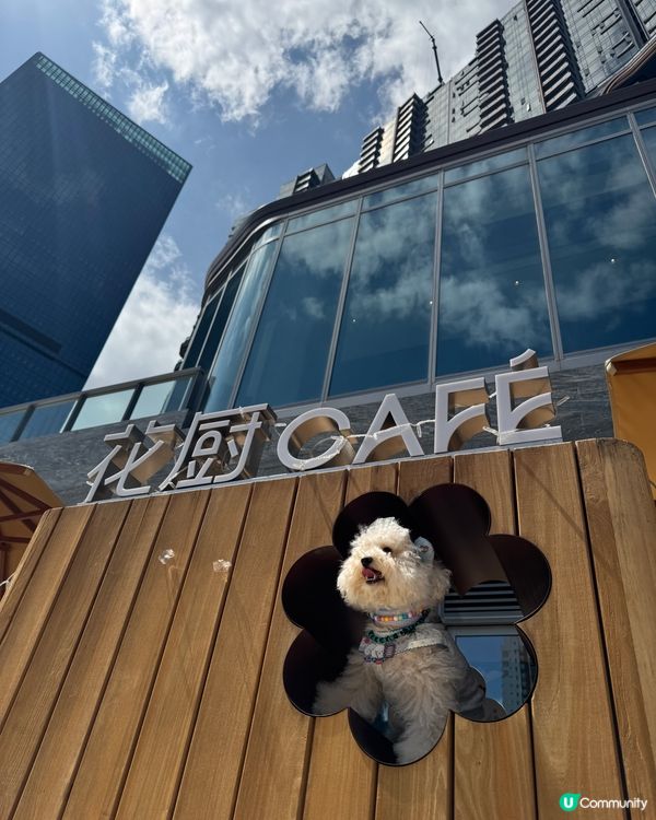 媽媽帶禾去食最近新開既🪻🌸🌼🌻花廚Cafe