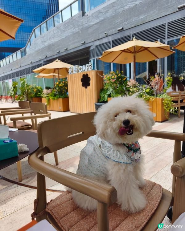 媽媽帶禾去食最近新開既🪻🌸🌼🌻花廚Cafe