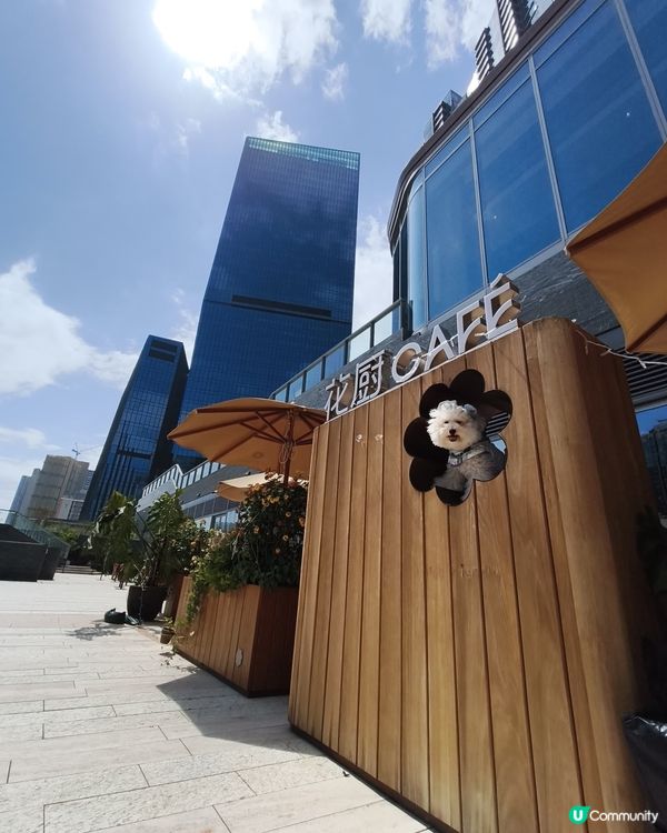 媽媽帶禾去食最近新開既🪻🌸🌼🌻花廚Cafe