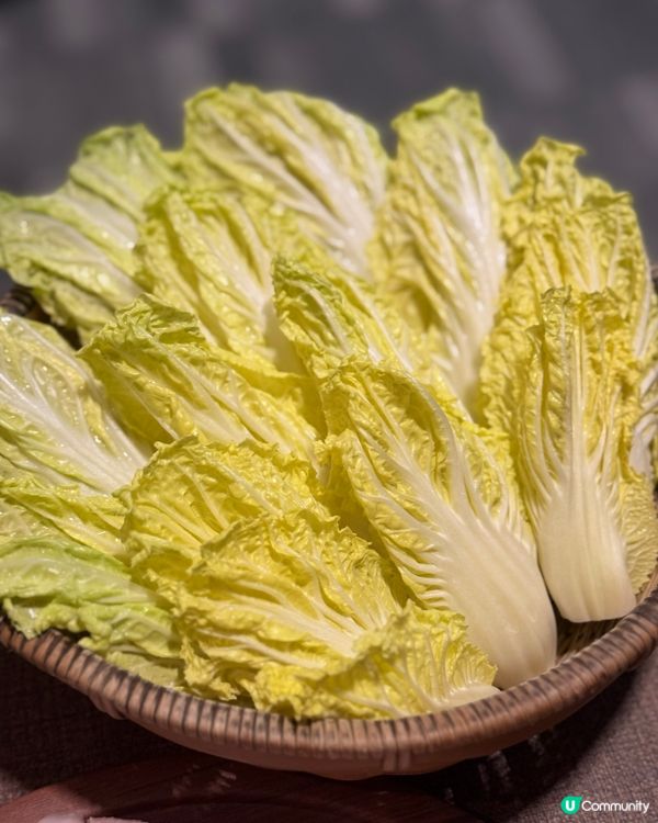 🍄 蘑菇鍋湯底香到不得了 😋