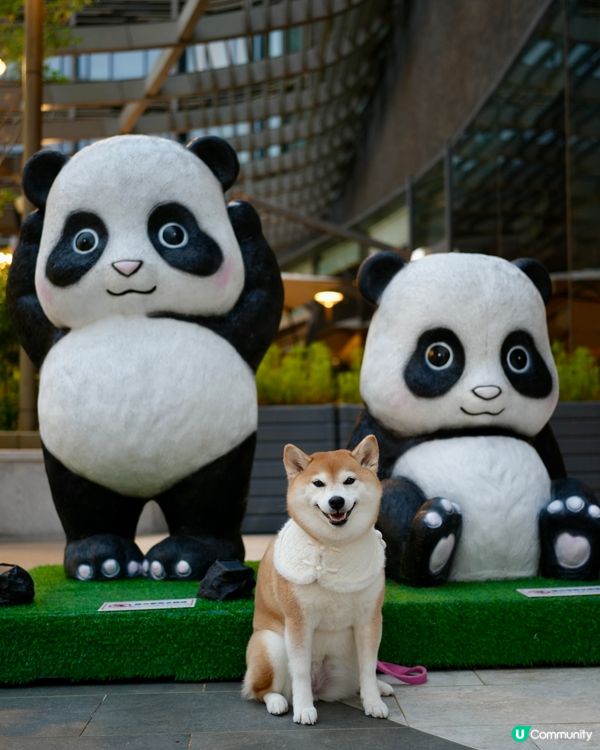 🍨帶毛孩食豐富自助餐🥩