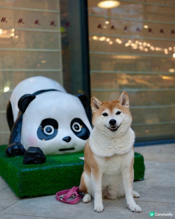 🍨帶毛孩食豐富自助餐🥩