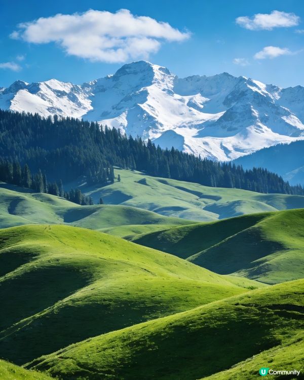 空中草原 ⛰️🐄✨