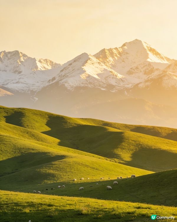 空中草原 ⛰️🐄✨