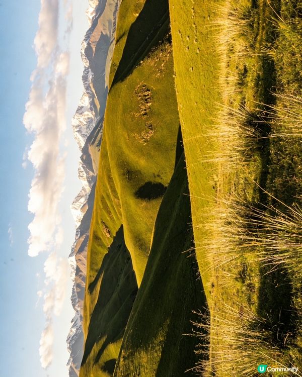 空中草原 ⛰️🐄✨