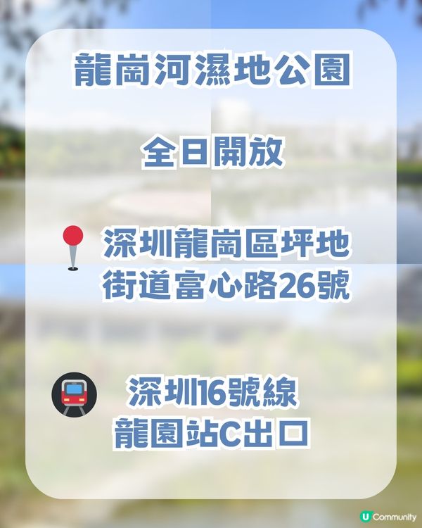 深圳龍崗河Citywalk一日遊攻略!深圳版莫內花園/巨型獺獺/ 古風公園