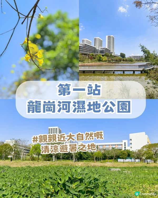 深圳龍崗河Citywalk一日遊攻略!深圳版莫內花園/巨型獺獺/ 古風公園