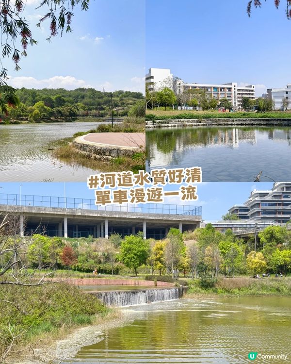 深圳龍崗河Citywalk一日遊攻略!深圳版莫內花園/巨型獺獺/ 古風公園
