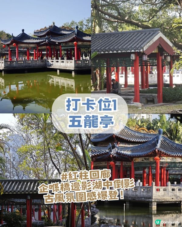 深圳龍崗河Citywalk一日遊攻略!深圳版莫內花園/巨型獺獺/ 古風公園