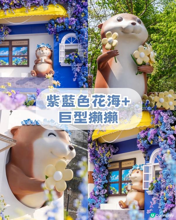 深圳龍崗河Citywalk一日遊攻略!深圳版莫內花園/巨型獺獺/ 古風公園