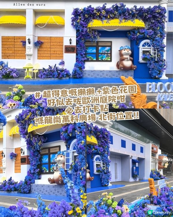 深圳龍崗河Citywalk一日遊攻略!深圳版莫內花園/巨型獺獺/ 古風公園