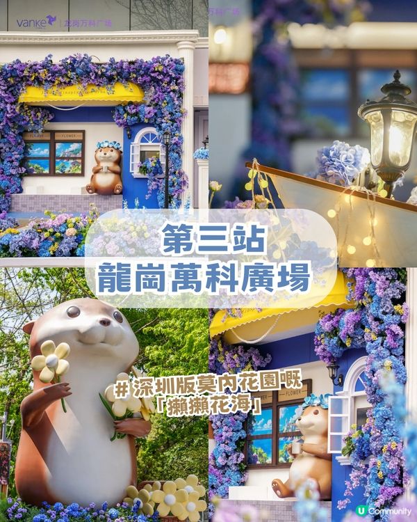 深圳龍崗河Citywalk一日遊攻略!深圳版莫內花園/巨型獺獺/ 古風公園