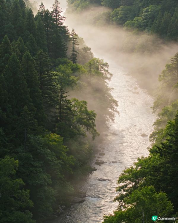 溪邊隱世靚景！✨🏕️