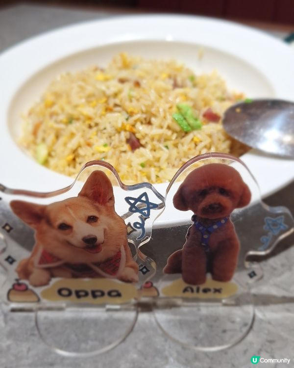 #去新酒店Staycation