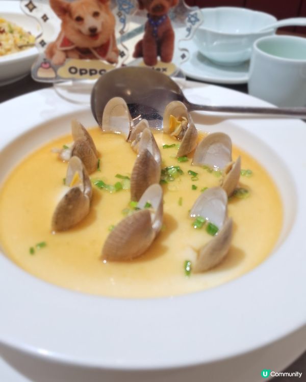 #去新酒店Staycation