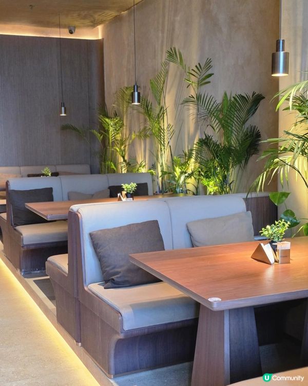 📍深圳必吃｜蓉悦🌶️川菜嘅漂亮飯