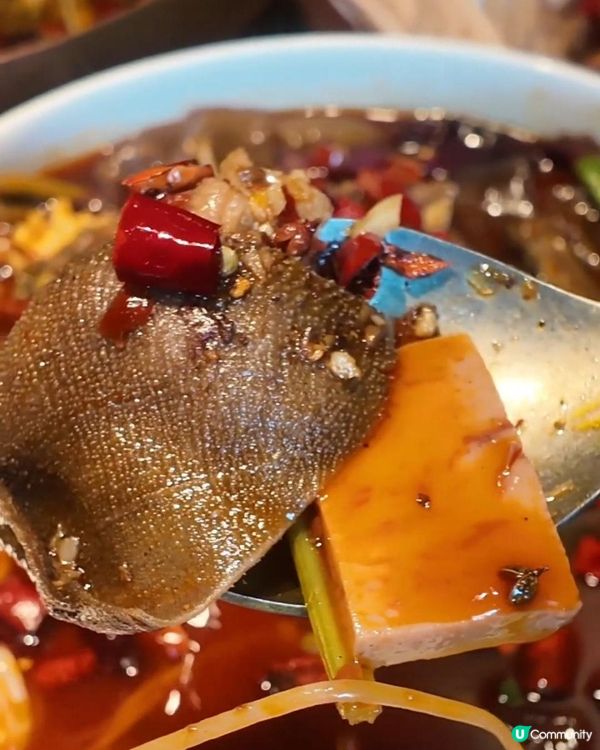 📍深圳必吃｜蓉悦🌶️川菜嘅漂亮飯