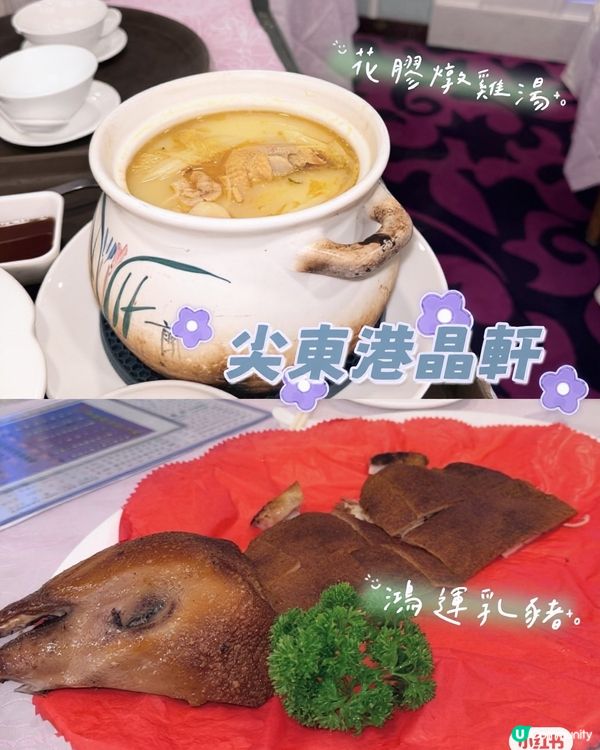 皮脆豬嫩💋！暖胃燉雞湯🍲