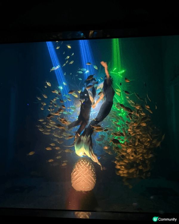 啱啱過去嘅週末，帶咗👧🏻👦🏻👶🏻去咗趟深圳觀瀾海洋世界。原本...