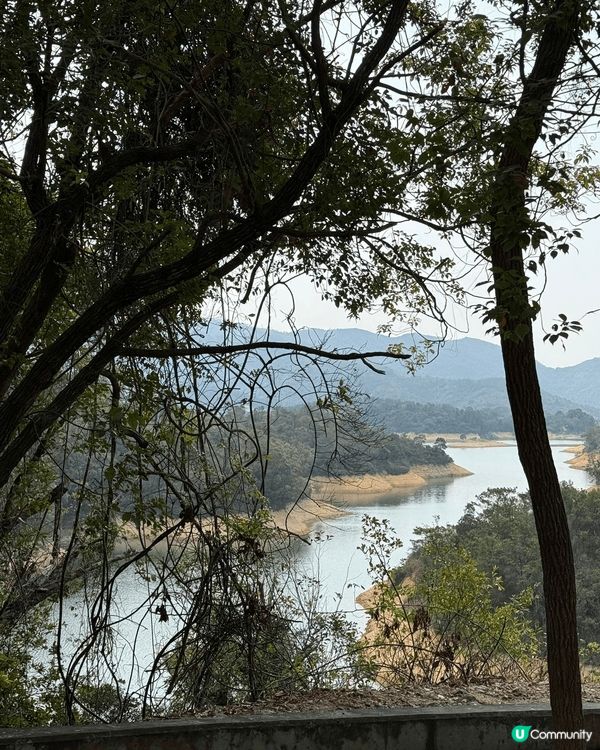 最近跟朋友一起去香港的千島湖行山，算是比較易容易行，沒有太多...
