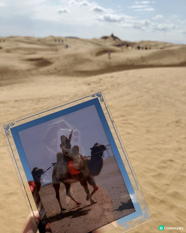 沙漠之旅，駱駝悠然走過沙丘，彷彿訴說著古老的故事。與好友同行...