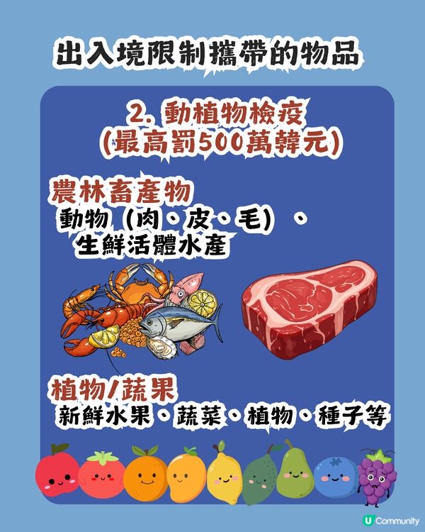 遊韓注意❗️韓國旅遊11大常見物品上機/入境攻略【2026最新懶人包】