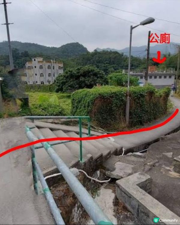 【烏蛟騰至鹿頸行山篇】樹屋、禾雀花、吊燈籠、竹林