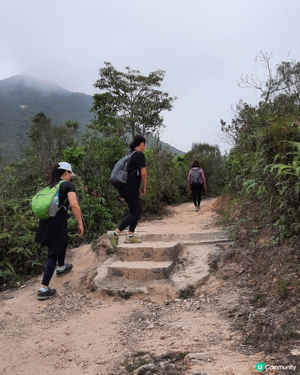 【烏蛟騰至鹿頸行山篇】樹屋、禾雀花、吊燈籠、竹林