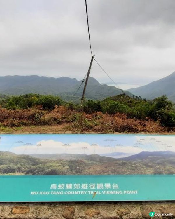 【烏蛟騰至鹿頸行山篇】樹屋、禾雀花、吊燈籠、竹林