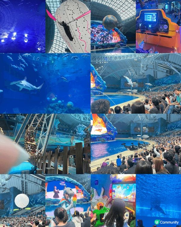 珠海長隆好好挽重有虎鯨表演，精彩