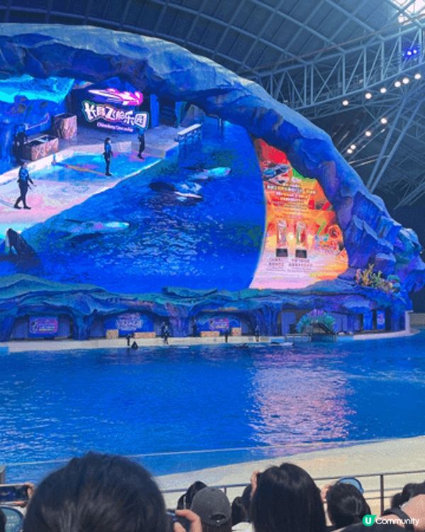 珠海長隆好好挽重有虎鯨表演，精彩