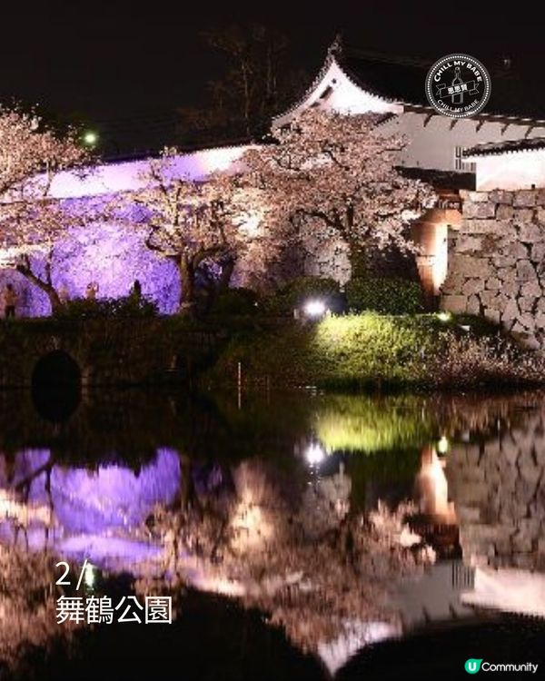 福岡櫻花8景！🌺滿開追粉！