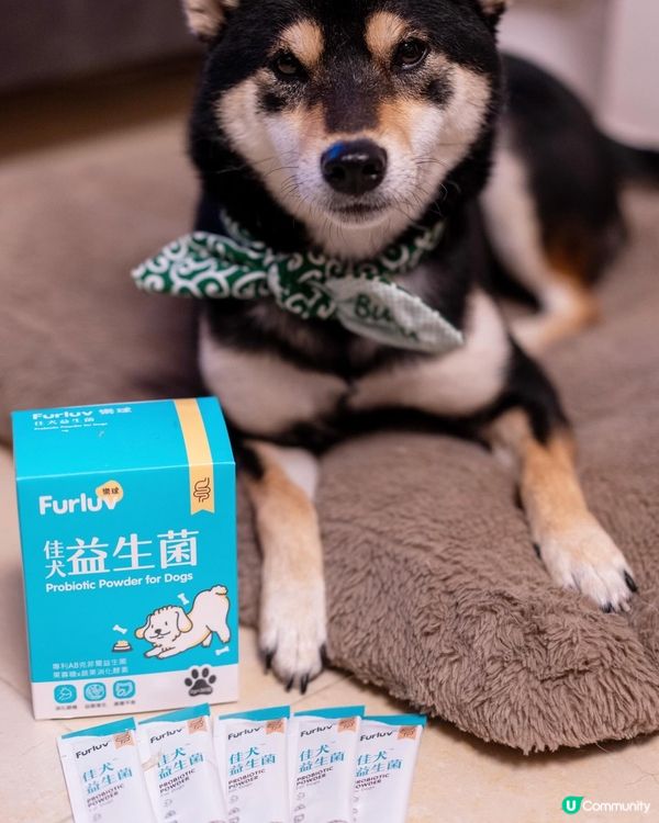 【台灣寵物保健品牌】狗狗益生菌