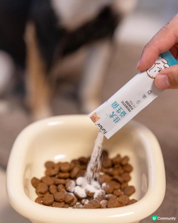 【台灣寵物保健品牌】狗狗益生菌