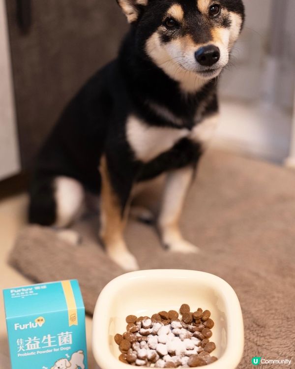 【台灣寵物保健品牌】狗狗益生菌