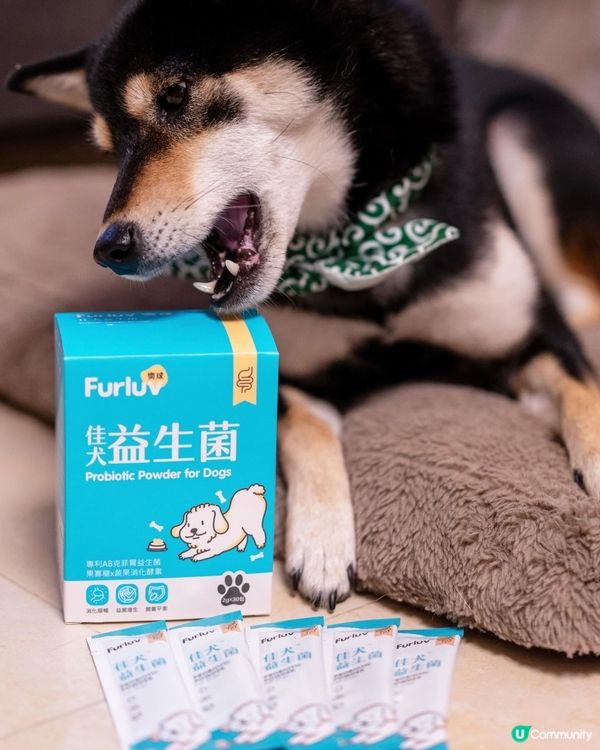【台灣寵物保健品牌】狗狗益生菌