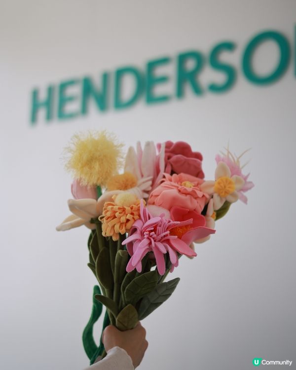 打卡熱點💐中環15 萬枝毛絨花，可walk-in