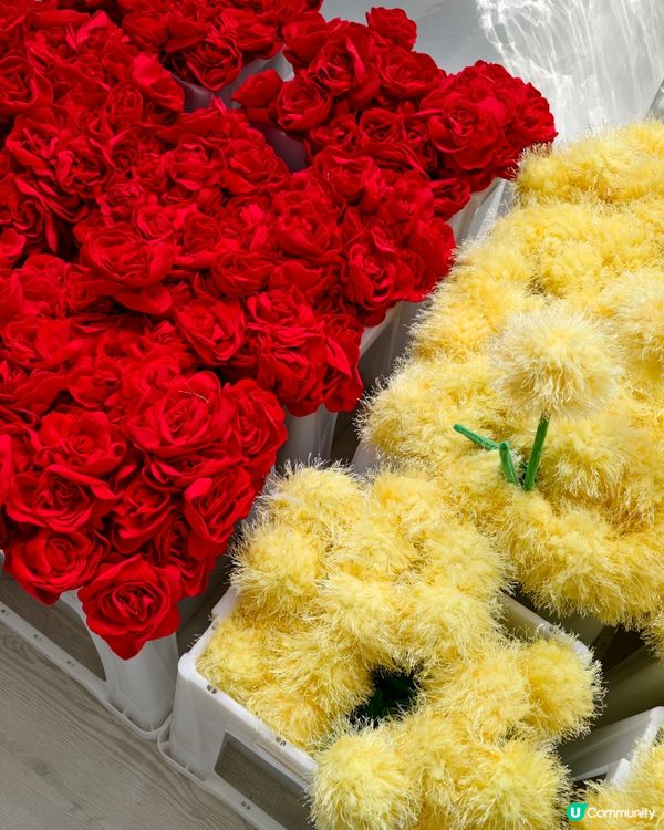 打卡熱點💐中環15 萬枝毛絨花，可walk-in