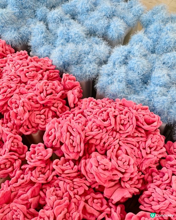 打卡熱點💐中環15 萬枝毛絨花，可walk-in