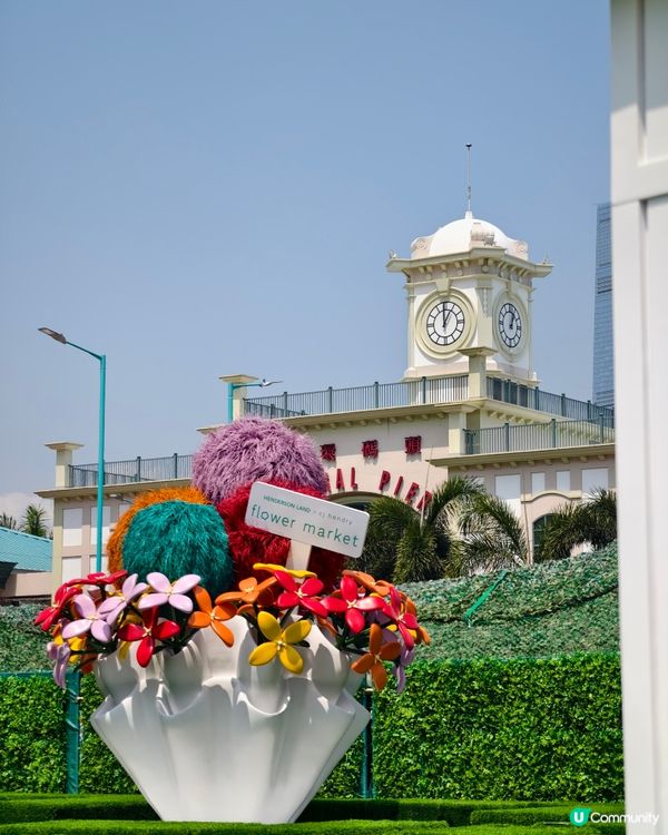 打卡熱點💐中環15 萬枝毛絨花，可walk-in