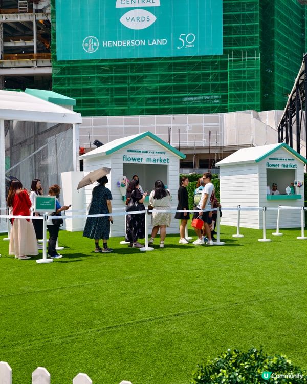 打卡熱點💐中環15 萬枝毛絨花，可walk-in