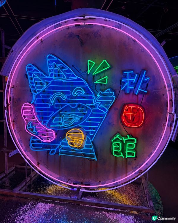 閃耀霓虹，照亮香港！✨