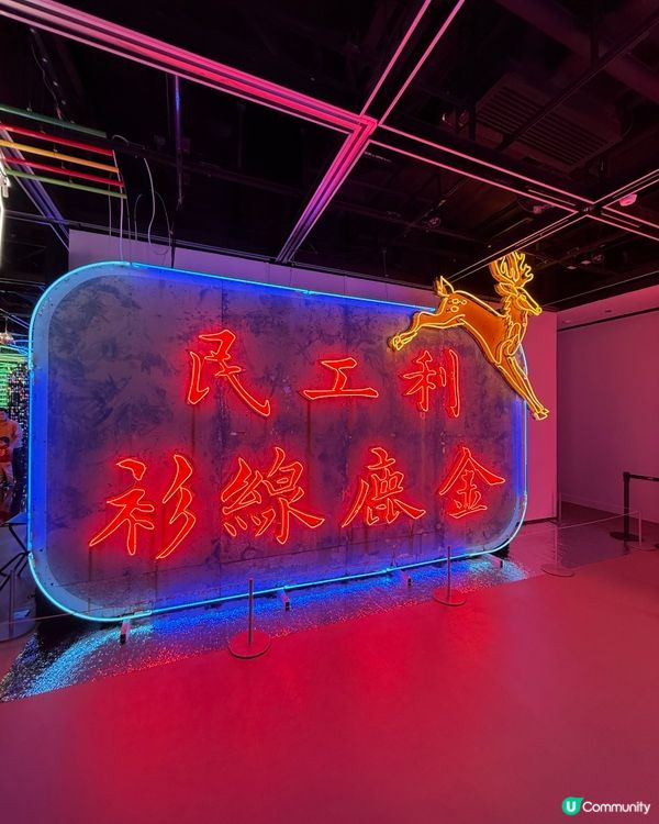 閃耀霓虹，照亮香港！✨