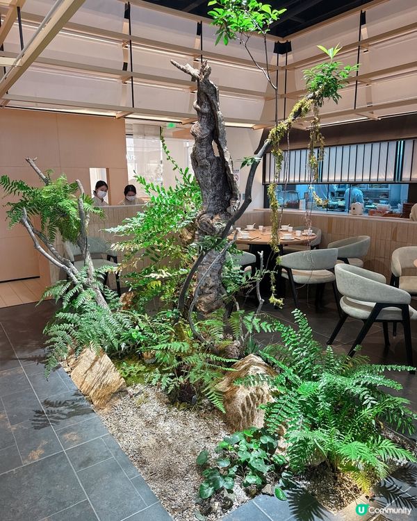 深圳灣素食新店！好味又抵食！😋👍