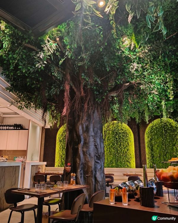 重逢巴西燒烤，老地方新滋味，味蕾滿，心仍暖。