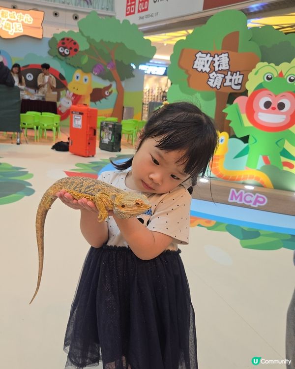 巨大化「蟲」林！爬蟲探險玩到癲 🐍🦎🕷️