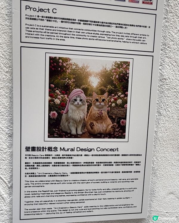 靚到暈！🐱 🎨 油麻地出現｢貓壁畫｣！😍