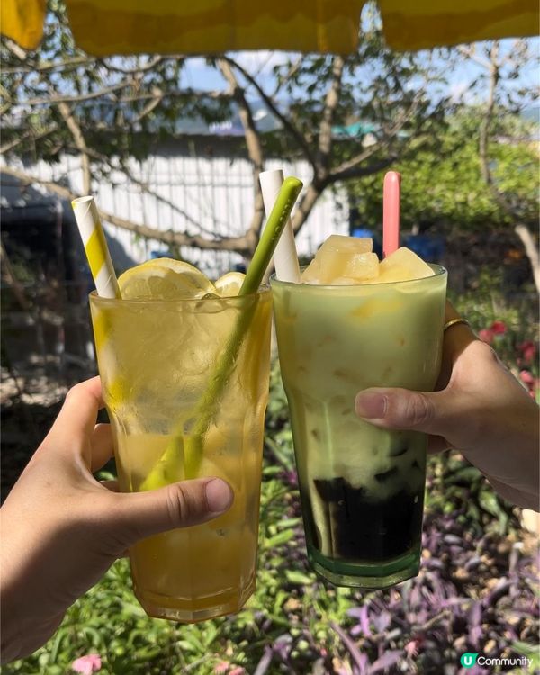 【香港東平洲】隱世美食海膽之島／稀有絕美地質公園離島◀︎斬頸洲▶︎限量一日一份「香煎墨汁大尾魷」蝶豆花菠蘿冰 脆皮西多士｜窮遊達人4K中字